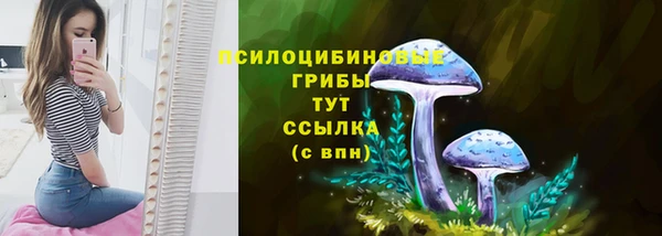 спиды Алзамай