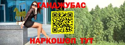 apvp Кингисепп