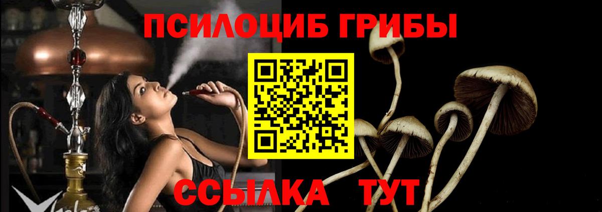 Галлюциногенные грибы Magic Shrooms Туймазы